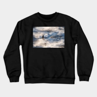 Into the Wild Surf, Sunshine Coast Crewneck Sweatshirt